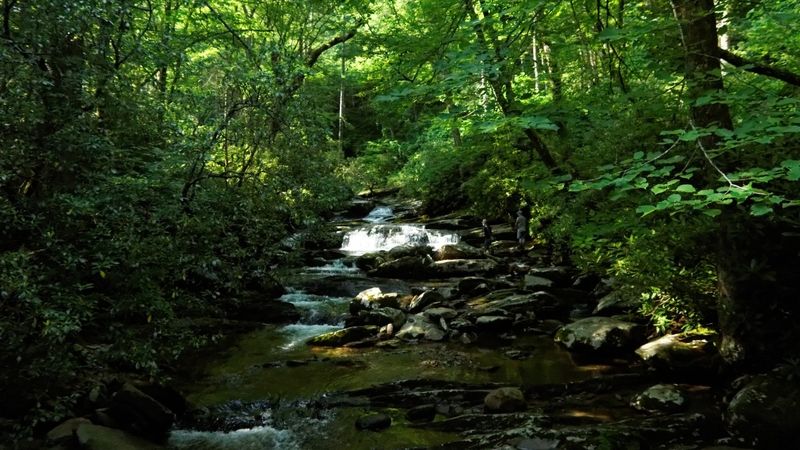 Chimney Tops Trail