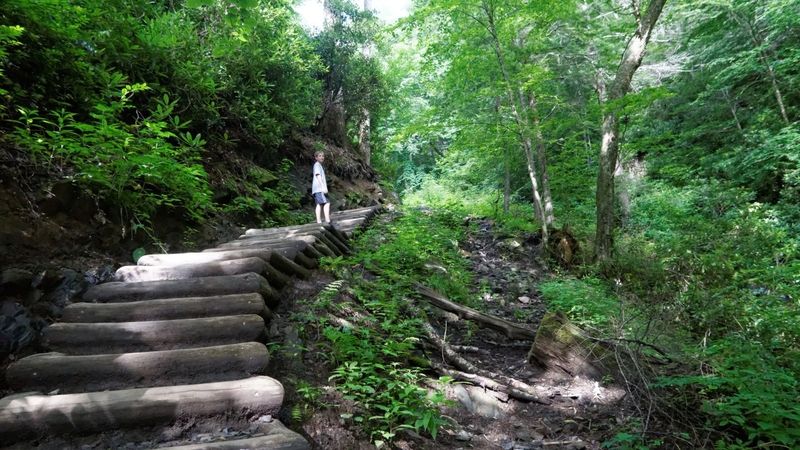 Chimney Tops Trail