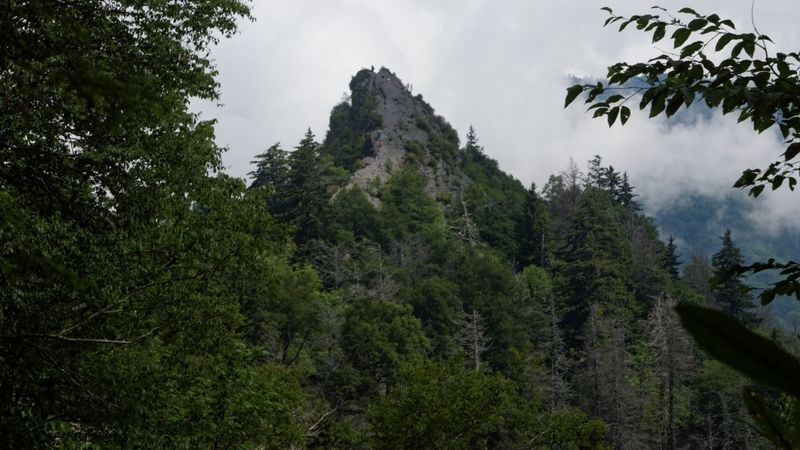 Chimney Tops Trail