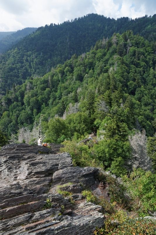 Chimney Tops Trail
