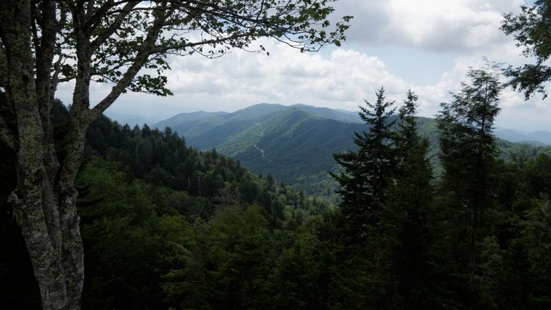 Newfound Gap Road