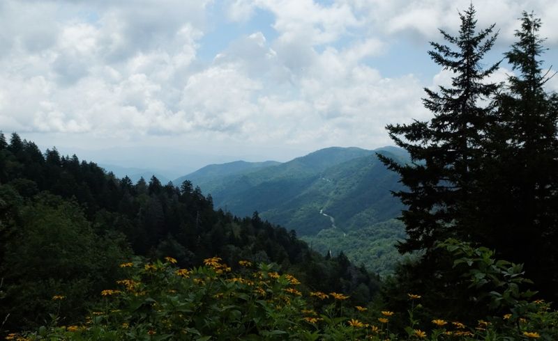 Newfound Gap Road