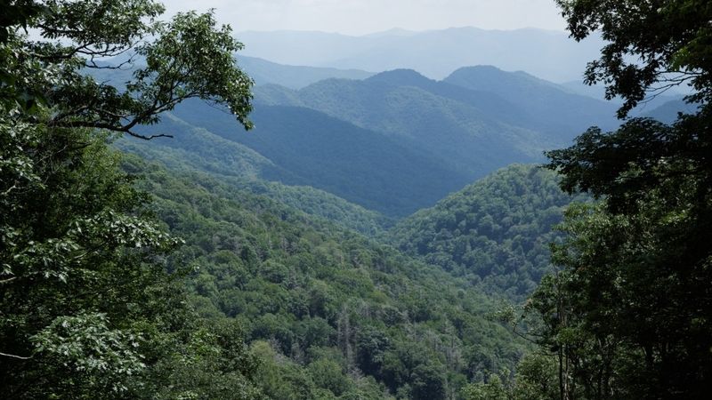 Newfound Gap Road