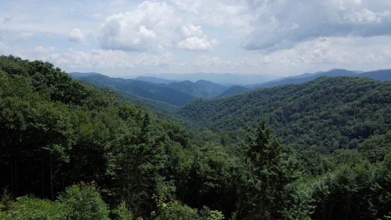 Newfound Gap Road