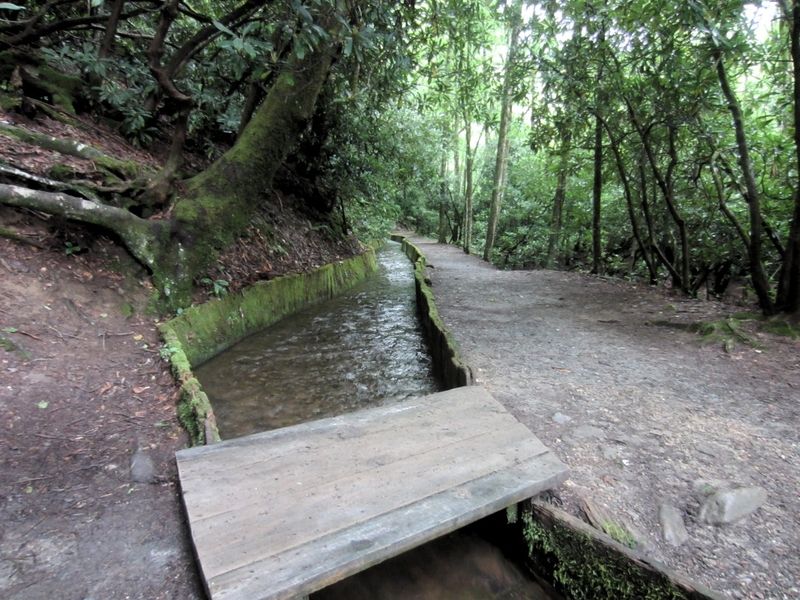Mingus Mill