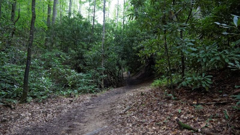 Loop Trail