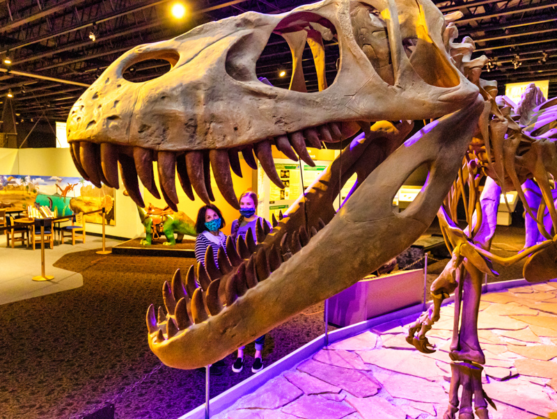 Mesalands Dinosaur Museum