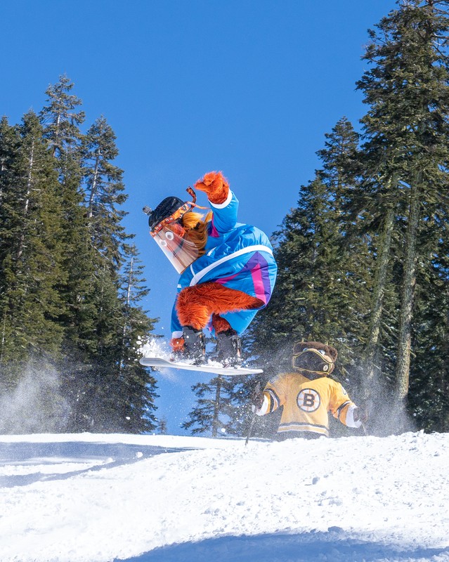 Sierra-at-Tahoe Resort