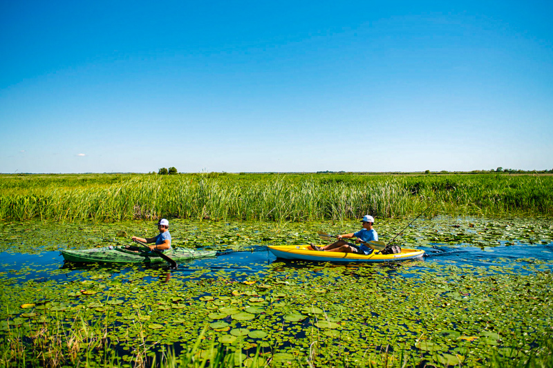 Swamp Tour en kayak