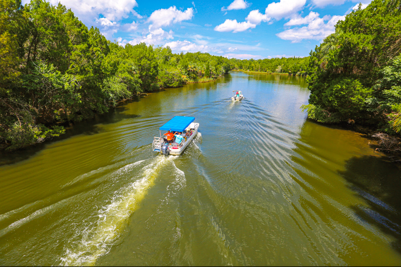 Swamp Tour en bateau