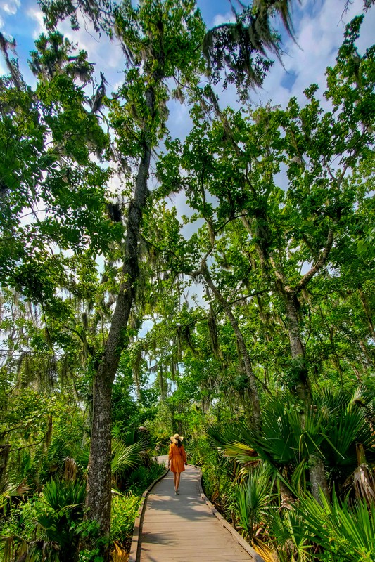 Palmetto Trail