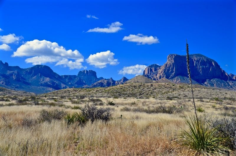 Lost Mine Trail