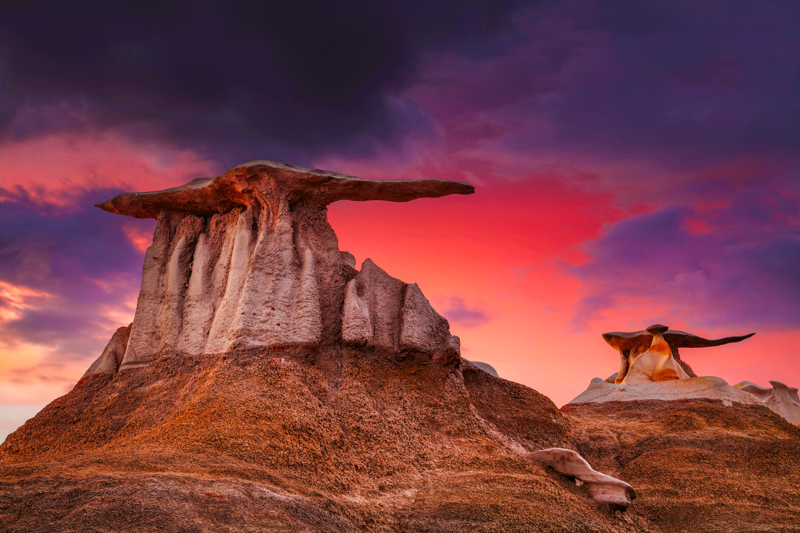 Bisti Wings