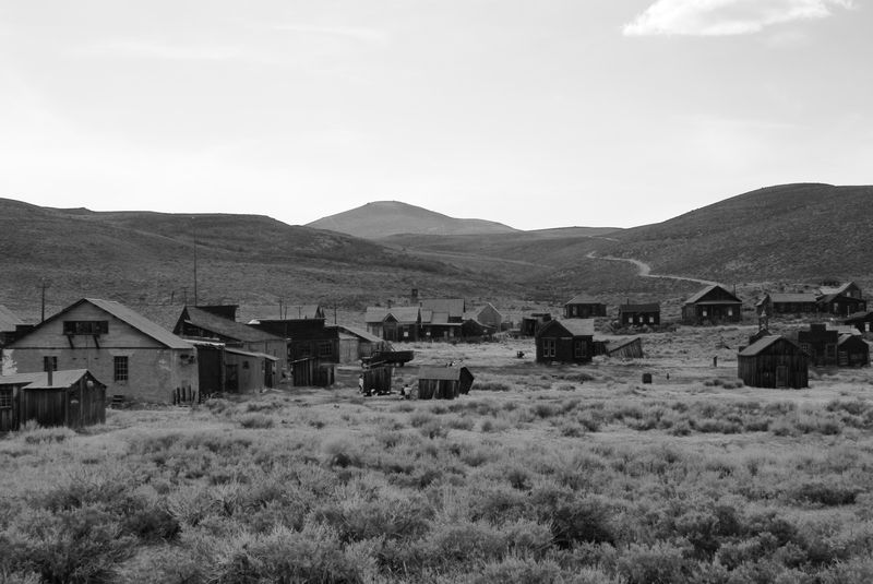 Bodie