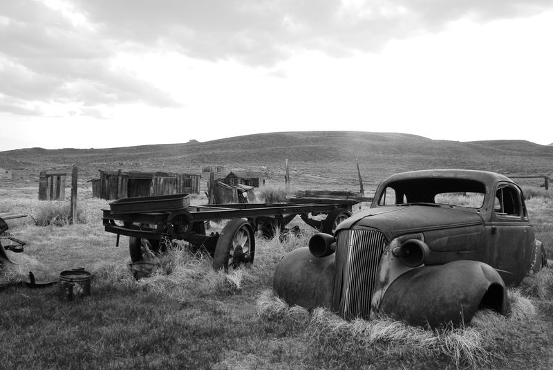 Bodie