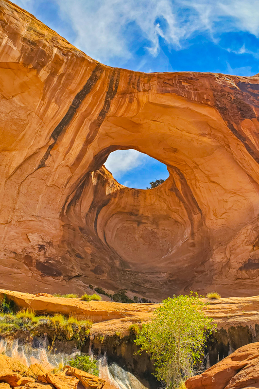 Bowtie Arch