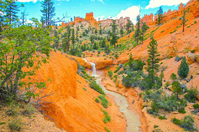 Mossy Cave Trail