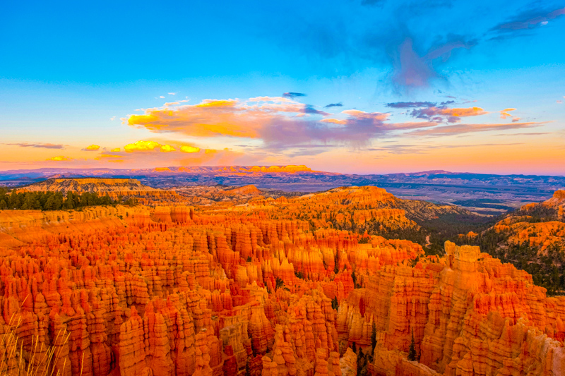 Rim Trail
