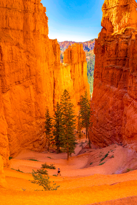 Switchbacks