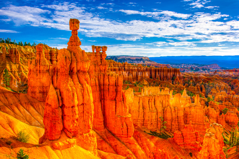 Navajo Loop Trail
