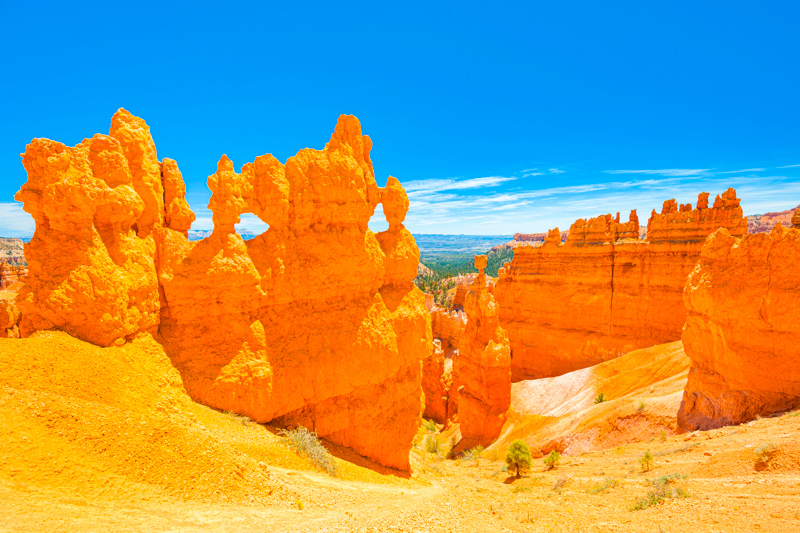 Navajo Loop Trail