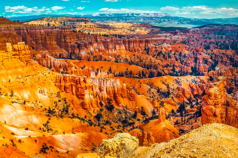 Rim Trail