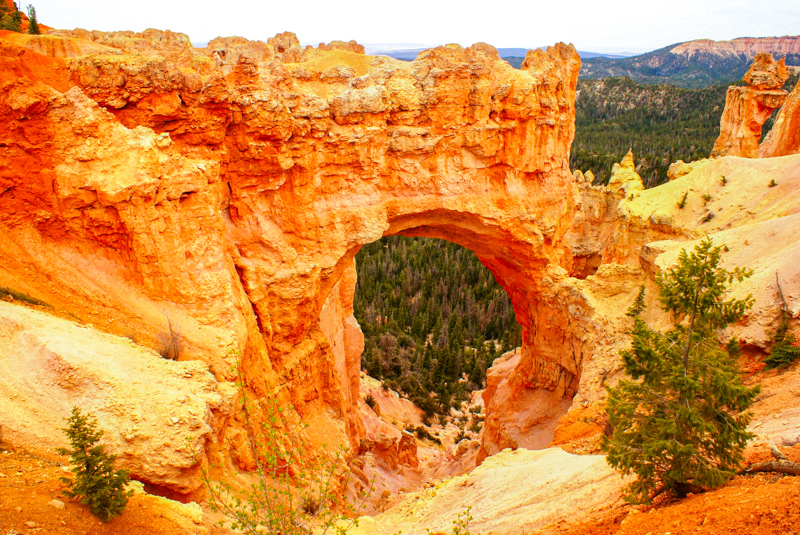 Natural Bridge