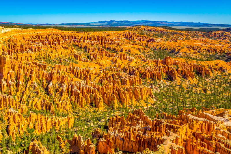 Bryce Point