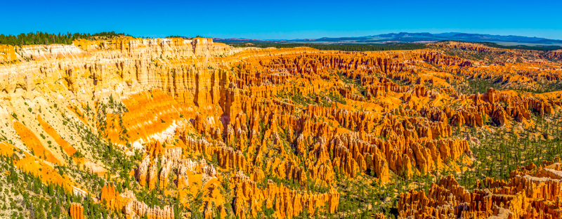 Rim Trail