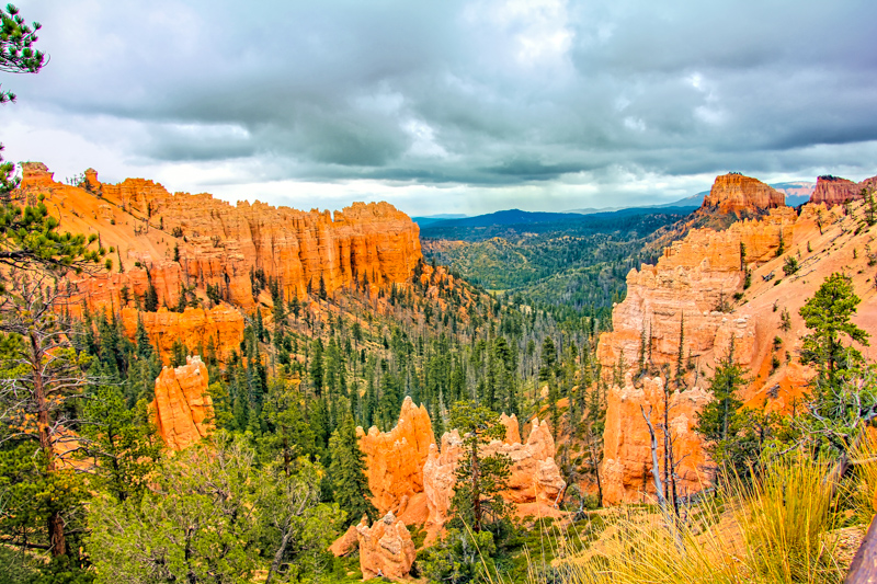 Swamp Canyon Overlook