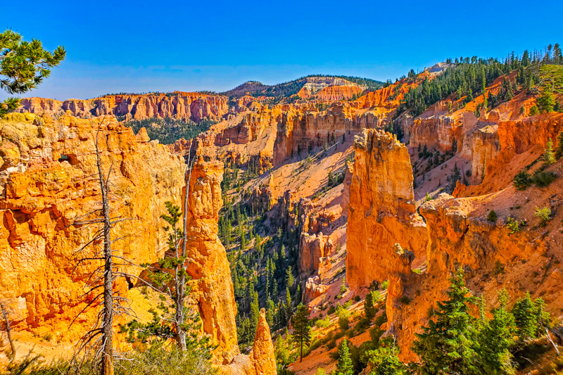 Black Birch Canyon