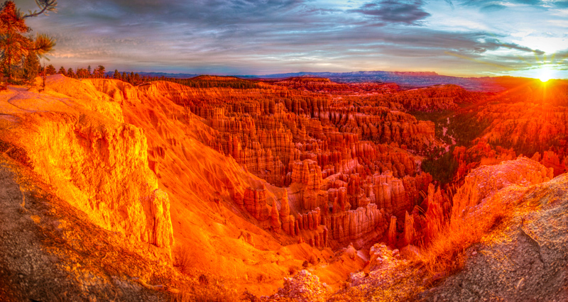Rim Trail
