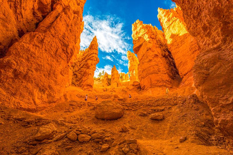 Switchbacks