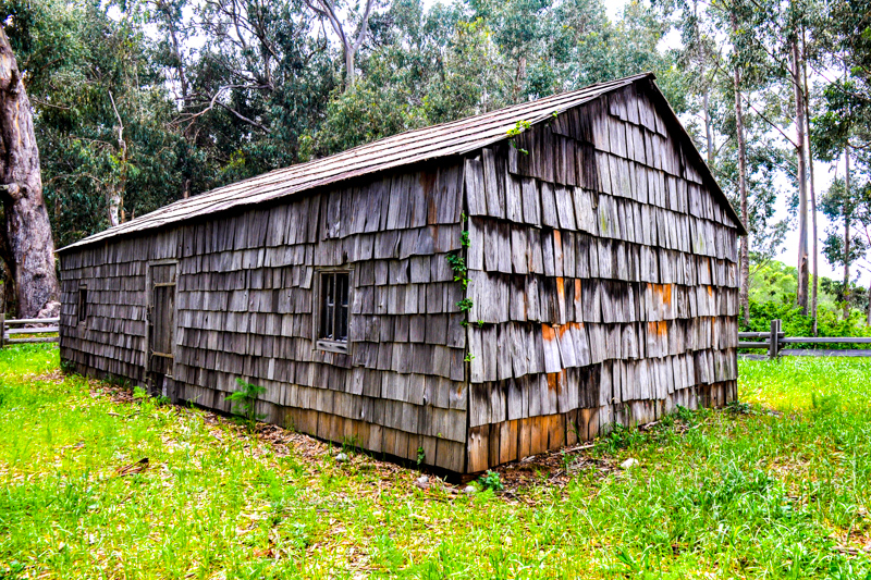 Cooper Cabin