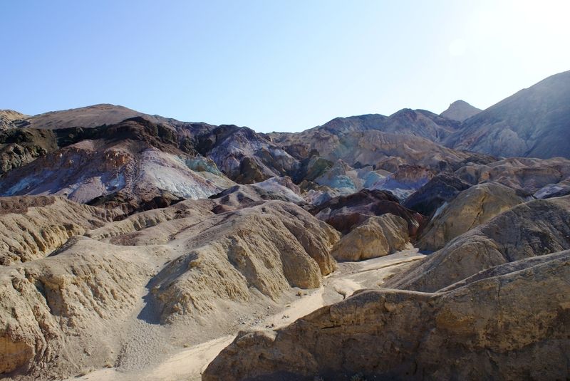 Artist's Palette