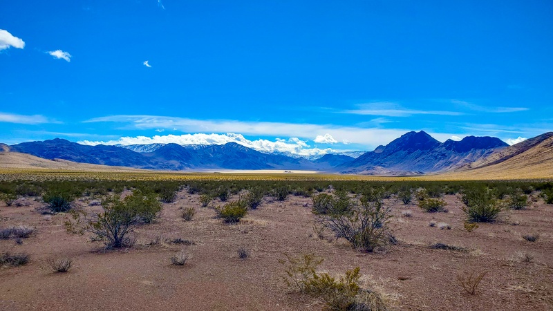 Premi&egrave;re vision de The Racetrack