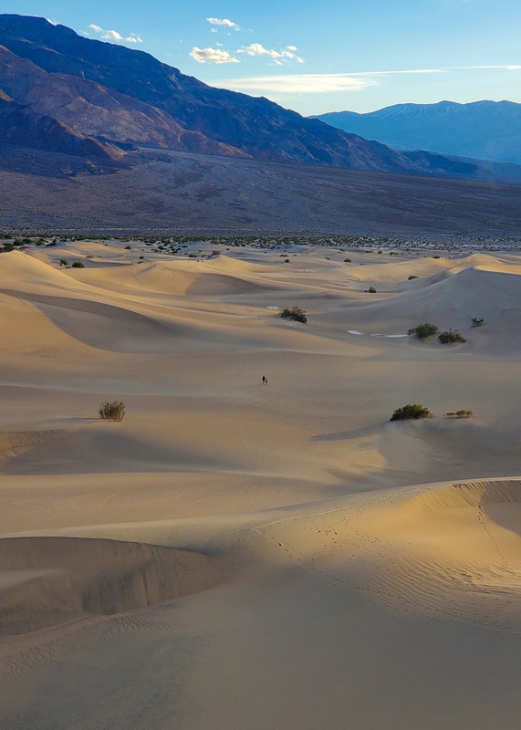 Mesquite Flat Sand Dunes