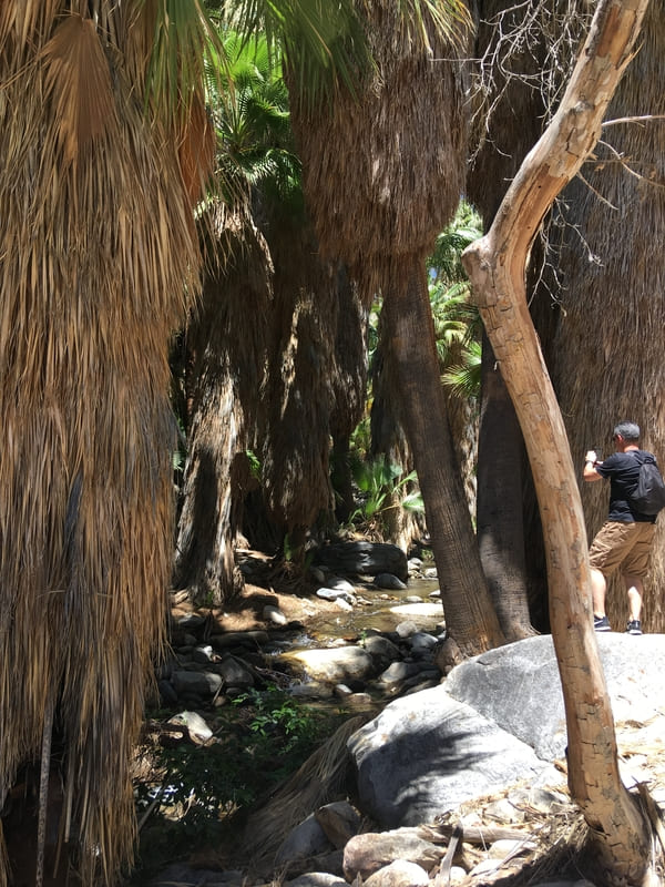 Andreas Canyon