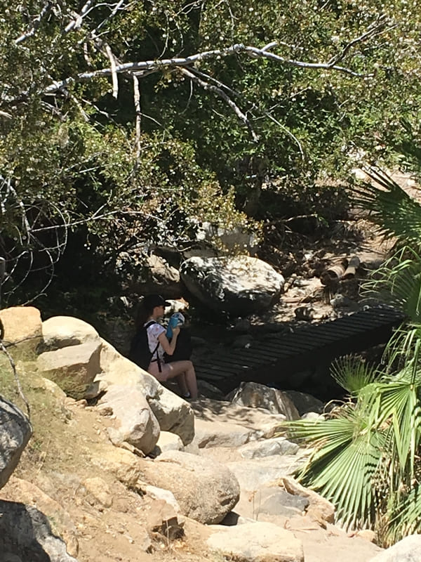 Andreas Canyon