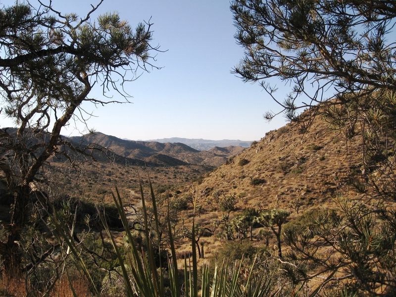 Black Rock Canyon