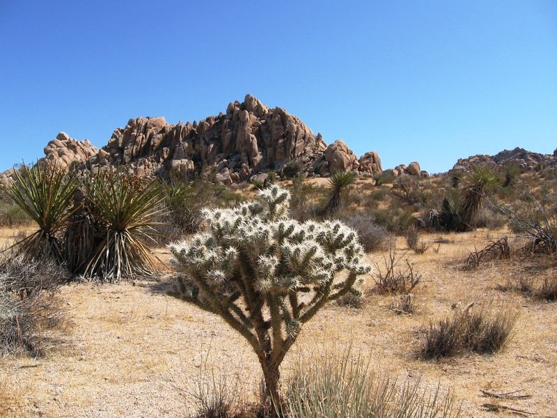 Indian Cove Nature Trail