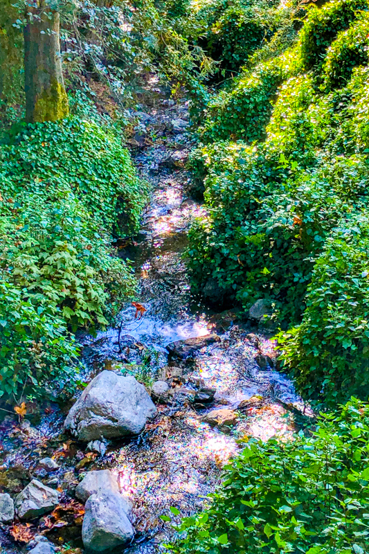 Ewoldsen Trail