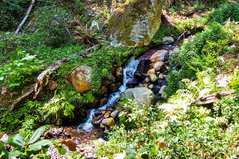 Ewoldsen Trail