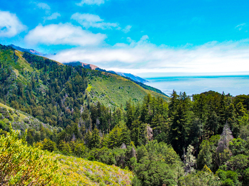 Ewoldsen Trail