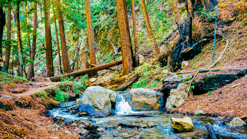 Ewoldsen Trail
