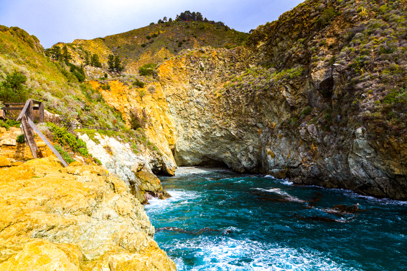 Partington Cove Trail