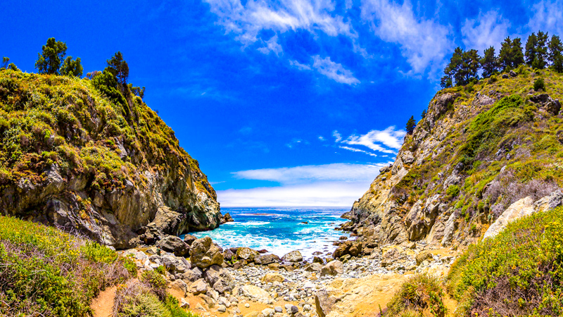 Partington Cove Trail