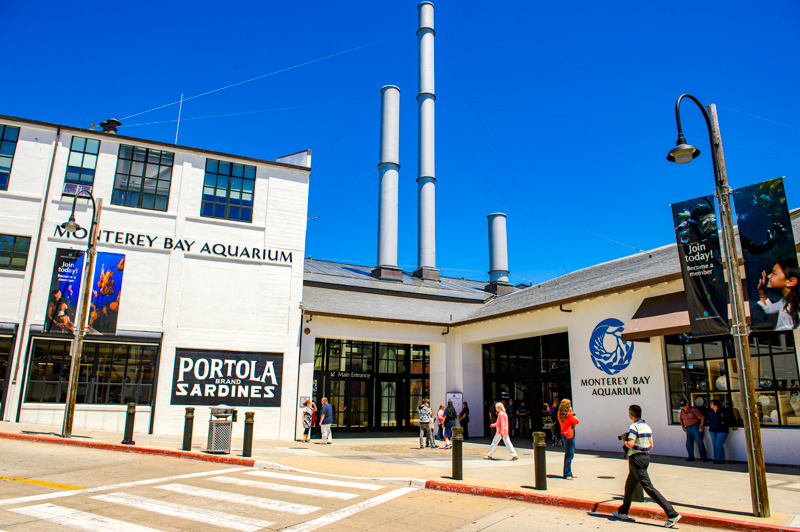 Monterey Bay Aquarium
