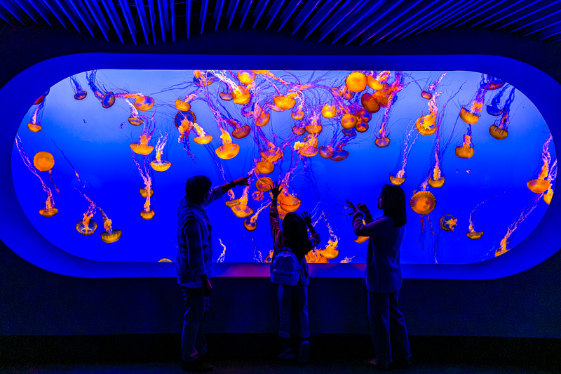 Monterey Bay Aquarium