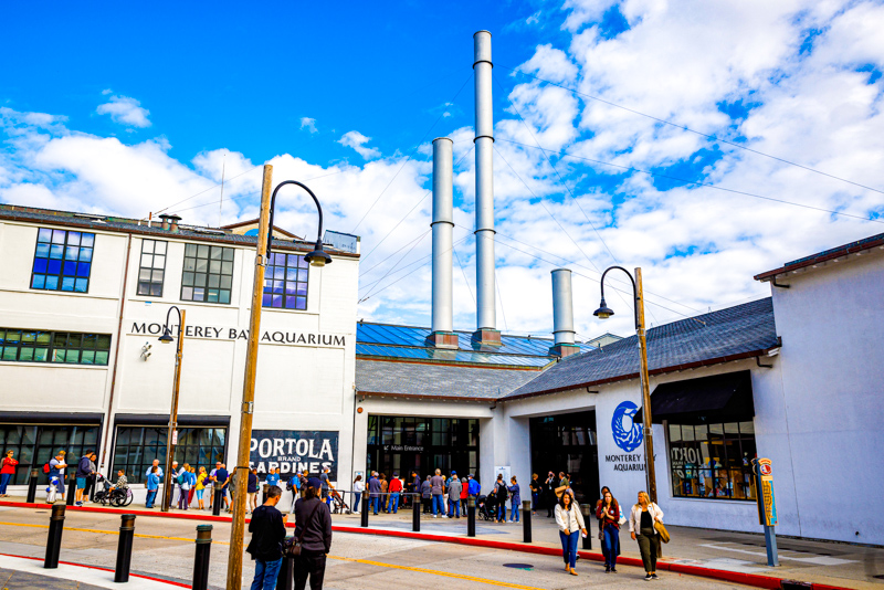 Monterey Bay Aquarium